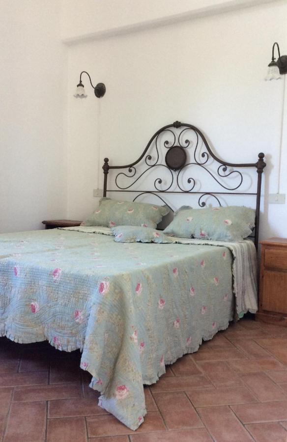 Relais Casale Il Poggetto - Olivo 2 By Zoom In Earth Apartment Cecina  Exterior photo