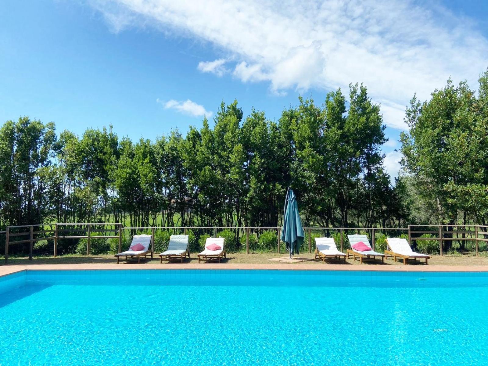 Relais Casale Il Poggetto - Olivo 2 By Zoom In Earth Apartment Cecina  Exterior photo